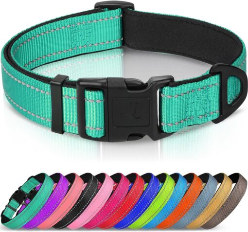 Joytale Reflective Dog Collar, Adjustable Neoprene Padded, Teal L
