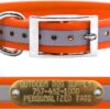 Reflective Heavy Duty D-Ring Dog Collar w Custom Name Tag, Orange 21″