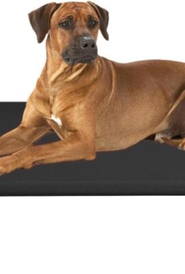 Veehoo Outdoor Elevated Dog Bed Large Sized Dogs, Cooling...