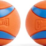 Chuckit! Ultra Ball Dog Toy, Durable Rubber, Medium 2.5-in, 2 Pack