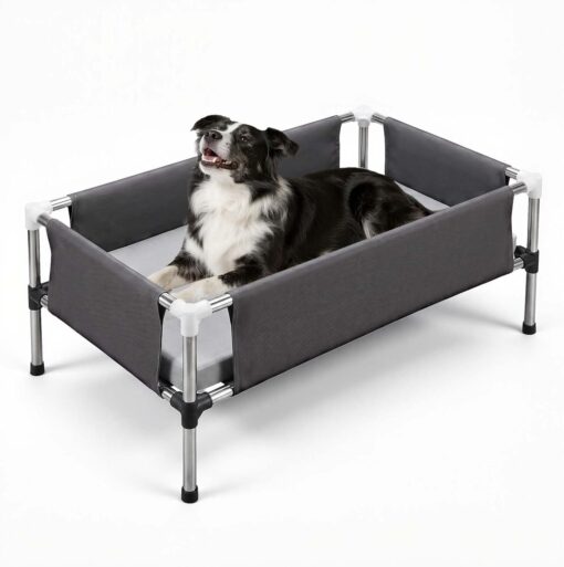 Elevated Dog Bed with Detachable Cushion & 4-Sided Guard Rails, Medium