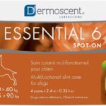 Dermoscent Essential 6 spot-on – Dog Skin Care for Dandruff & Allergy Relief with Vitamin E Oil – Anti Itch for Dogs – Natural Ingredients for Sensitive Skin – Dogs 20-40 kg – 4 Pipettes of 2.4 ml