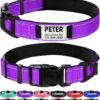 Joytale Personalized Dog Collar with Name Plate Built-in for Large Dogs