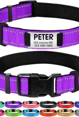Joytale Personalized Dog Collar with Name Plate Built-in for Large Dogs Joytale Personalized Dog Collar with Name Plate Built-in for Large Dogs