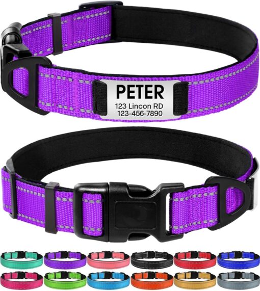 Joytale Personalized Dog Collar with Name Plate Built-in for Large Dogs