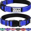 Joytale Personalized Dog Collar with Name Plate Built-in for Large Dogs