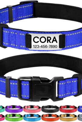 Joytale Personalized Dog Collar with Name Plate Built-in for Large Dogs Joytale Personalized Dog Collar with Name Plate Built-in for Large Dogs