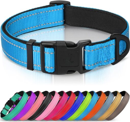 Joytale Reflective Dog Collar, Adjustable Neoprene Padded, Sky Blue L