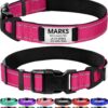 Joytale Personalized Dog Collar with Name Plate Built-in for Large Dogs