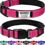 Joytale Personalized Dog Collar with Name Plate Built-in for Large Dogs