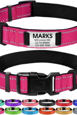 Joytale Personalized Dog Collar with Name Plate Built-in...
