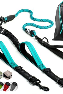 SparklyPets Double Dog Leash for 2 Dogs – Rope Bungee...