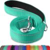 Joytale Reflective Dog Leash for Medium & Large Dogs, 6 FT x 1″, Turquoise