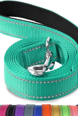 Joytale Reflective Dog Leash for Medium & Large Dogs,...