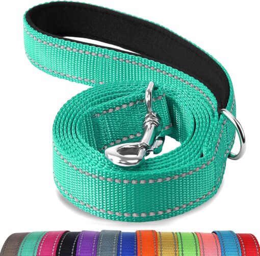 Joytale Reflective Dog Leash for Medium & Large Dogs, 6 FT x 1″, Turquoise