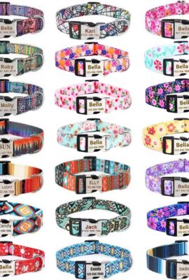 Personalized Dog Collars with Custom Engraved ID Pet Name and Phone Number Personalized Dog Collars with Custom Engraved ID Pet Name and Phone Number