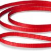 PetSafe Nylon Dog Leash – Strong, Durable, Traditional Style Leash with Easy to Use Bolt Snap – 3/8 in. x 6 ft., Red
