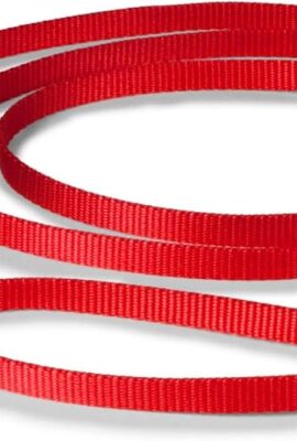 PetSafe Nylon Dog Leash – Strong, Durable, Traditional...