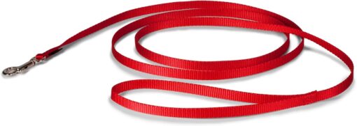 PetSafe Nylon Dog Leash – Strong, Durable, Traditional Style Leash with Easy to Use Bolt Snap – 3/8 in. x 6 ft., Red