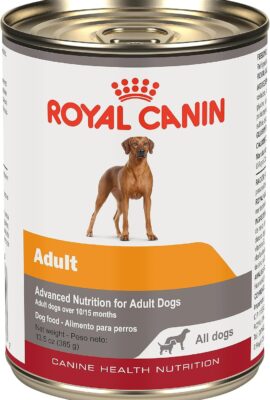 Royal Canin Canine Health Nutrition Adult in Gel Dog Food, 13.5 oz (Pack of 12) Royal Canin Canine Health Nutrition Adult in Gel Dog Food, 13.5 oz (Pack of 12)
