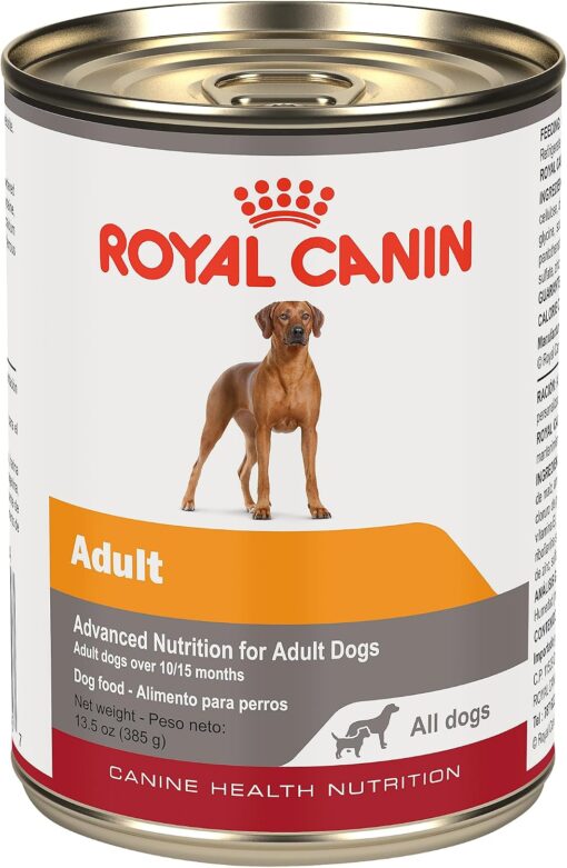 Royal Canin Canine Health Nutrition Adult in Gel Dog Food, 13.5 oz (Pack of 12)