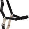 PetSafe Easy Walk Harness for Dogs – Pull-Free Walks – Patented Martingale Loop Design – Front Chest Leash Attachment – Adjustable Comfort Straps – Breathable Harness Design – Large, Black/Silver