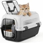 19.5″ Hard Shell Cat Carrier, Pet Carrier for Small Dogs & Cats