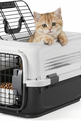 19.5″ Hard Shell Cat Carrier, Pet Carrier for Small...