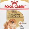 ROYAL CANIN Pomeranian Adult Dry Dog Food, 10 lb Bag