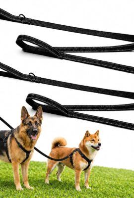 2 Pack Dog Leash, 6 FT Heavy Duty Dual Handle Reflective Leash for Dogs 2 Pack Dog Leash, 6 FT Heavy Duty Dual Handle Reflective Leash for Dogs