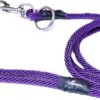 The Walkie No Pull Dog Leash – Gentle, Effective, Encourages Loose Leash Walking – Made in USA – Purple Color – Size Large for Dogs 25 lbs – 150 lbs